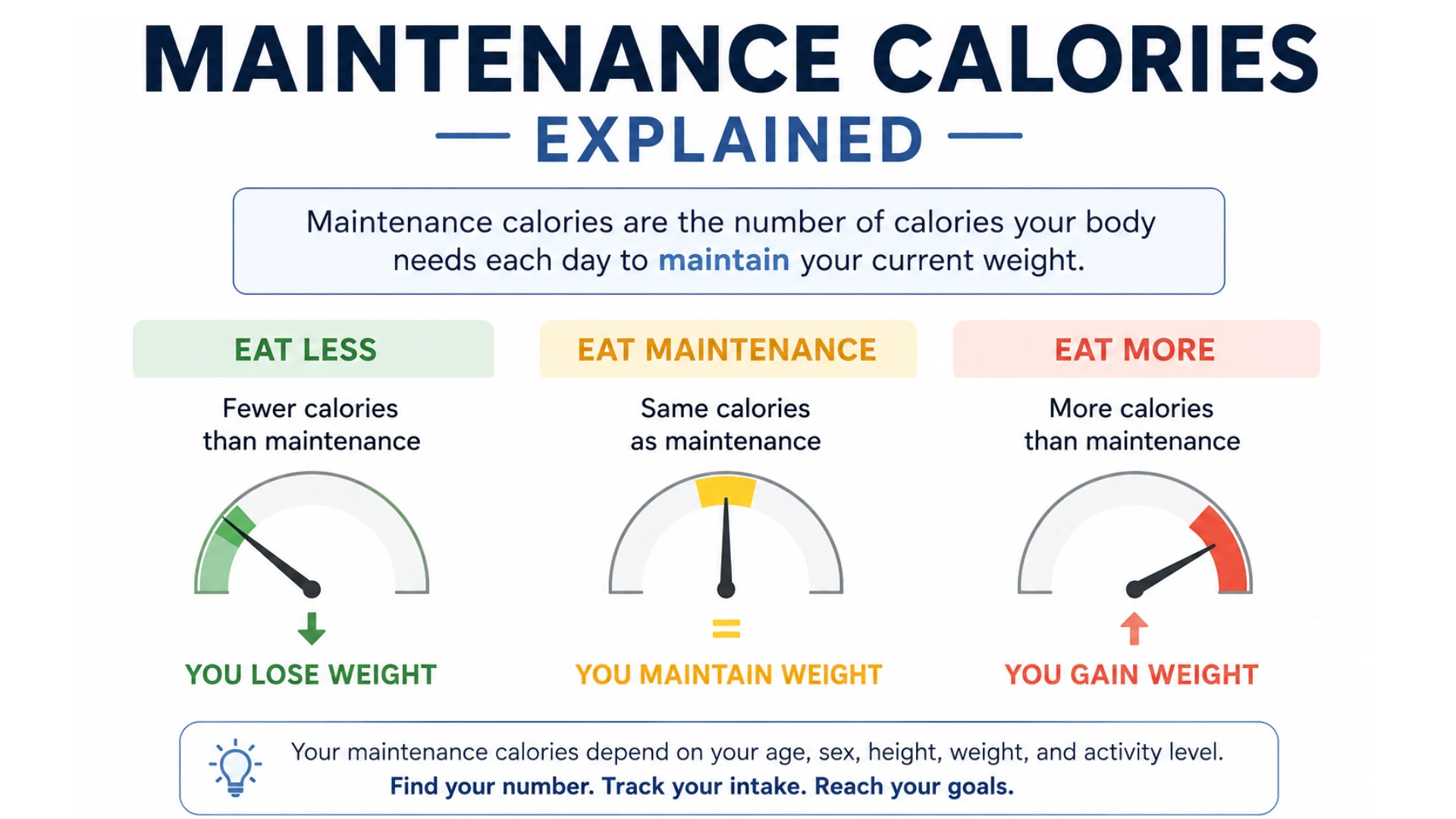 calories calculator